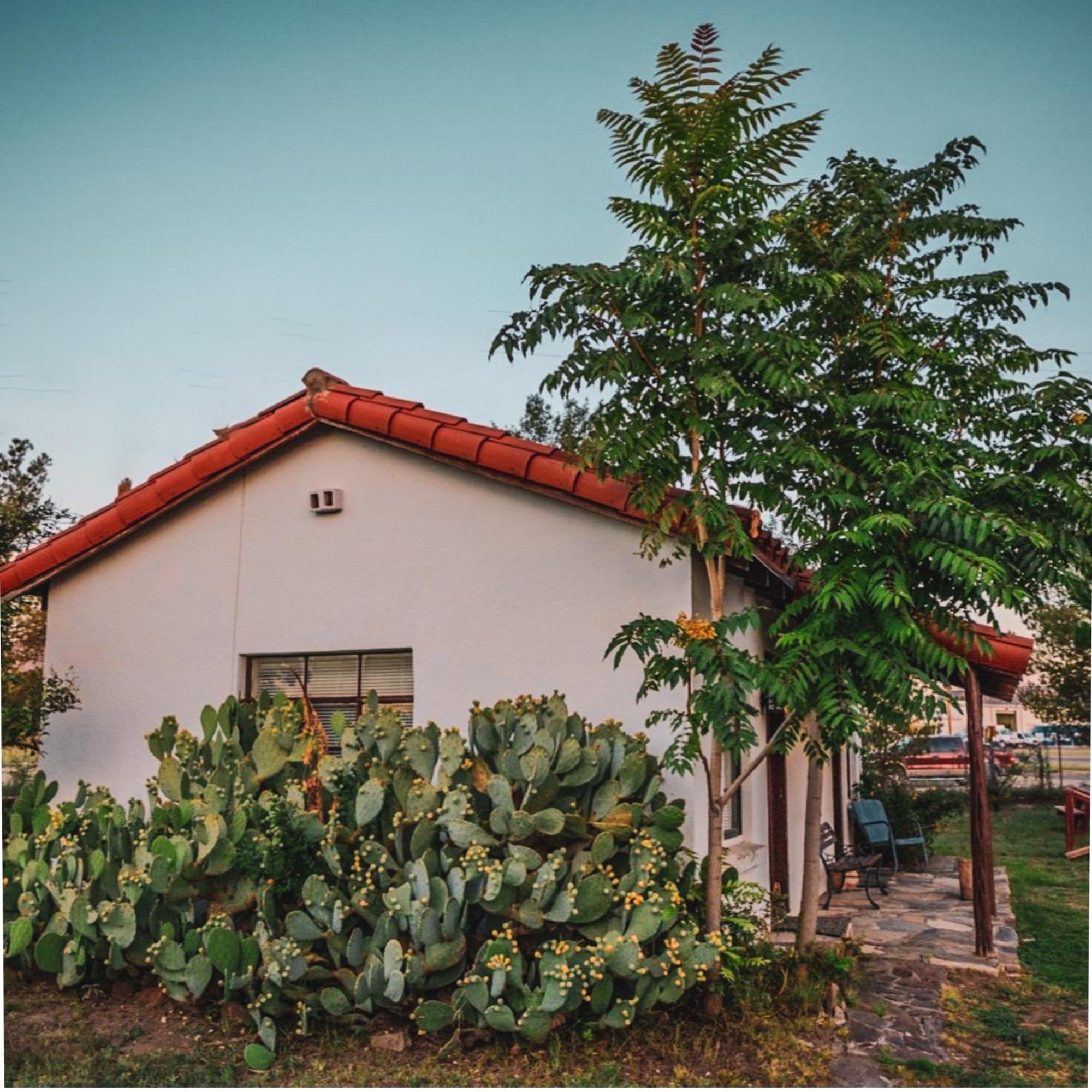 אלפיין Antelope Lodge מראה חיצוני תמונה